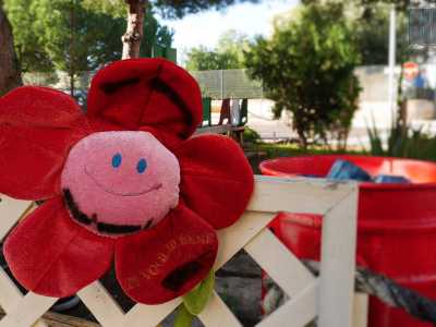 Fiori di peluche o pupazzi di stoffa lasciati dai bimbi si affacciano su staccionate bianche